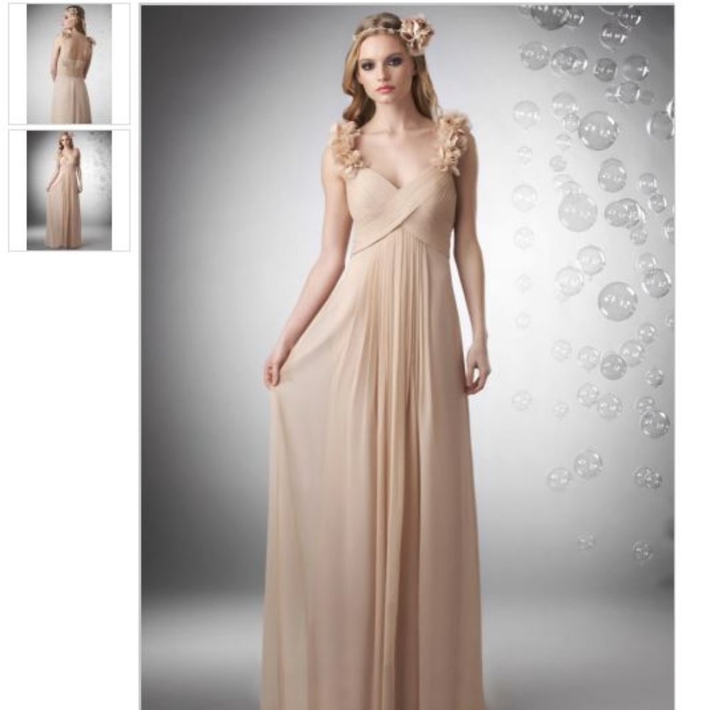Bari Jay 702 Nude Ruched Chiffon Bridesmaid Gown